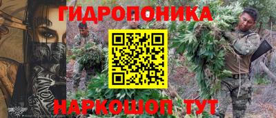 ГАЛЛЮЦИНОГЕННЫЕ ГРИБЫ Обнинск