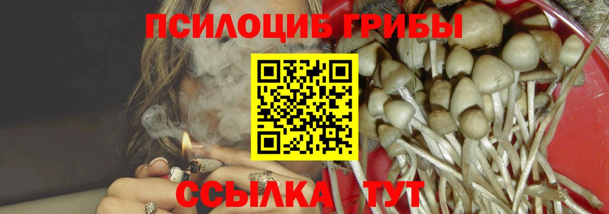 Галлюциногенные грибы прущие грибы  Галлюциногенные грибы Psilocybe  Топки  Вход с VPN 